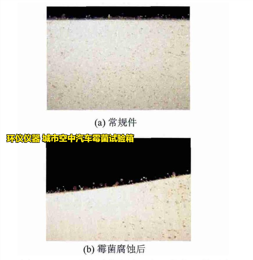 城市空中汽車(chē)霉菌試驗(yàn)箱的試驗(yàn)方法(圖3)